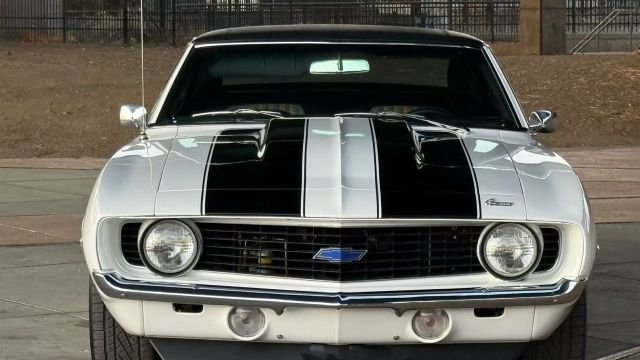 5f9cb2_3d49516545d54f05b32aed66a1d5b117~mv2 Large.jpeg