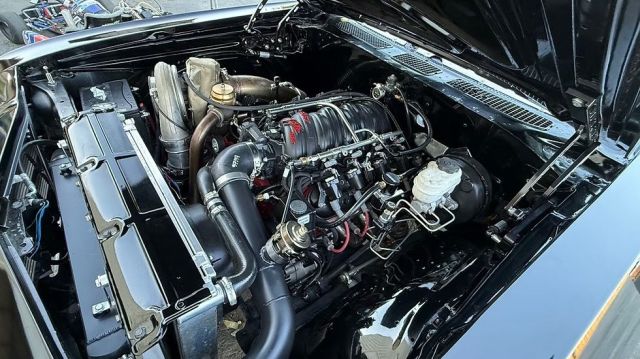 5f9cb2_3ee9dbaf262740f1990f4f50b1153700~mv2 Large.jpeg