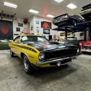 img_3589-300x300 Large.jpeg