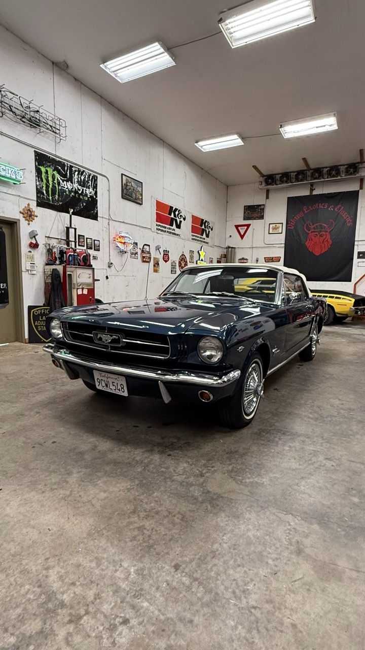 img_7195-scaled Large.jpeg