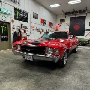 img_3440-300x300 Large.jpeg