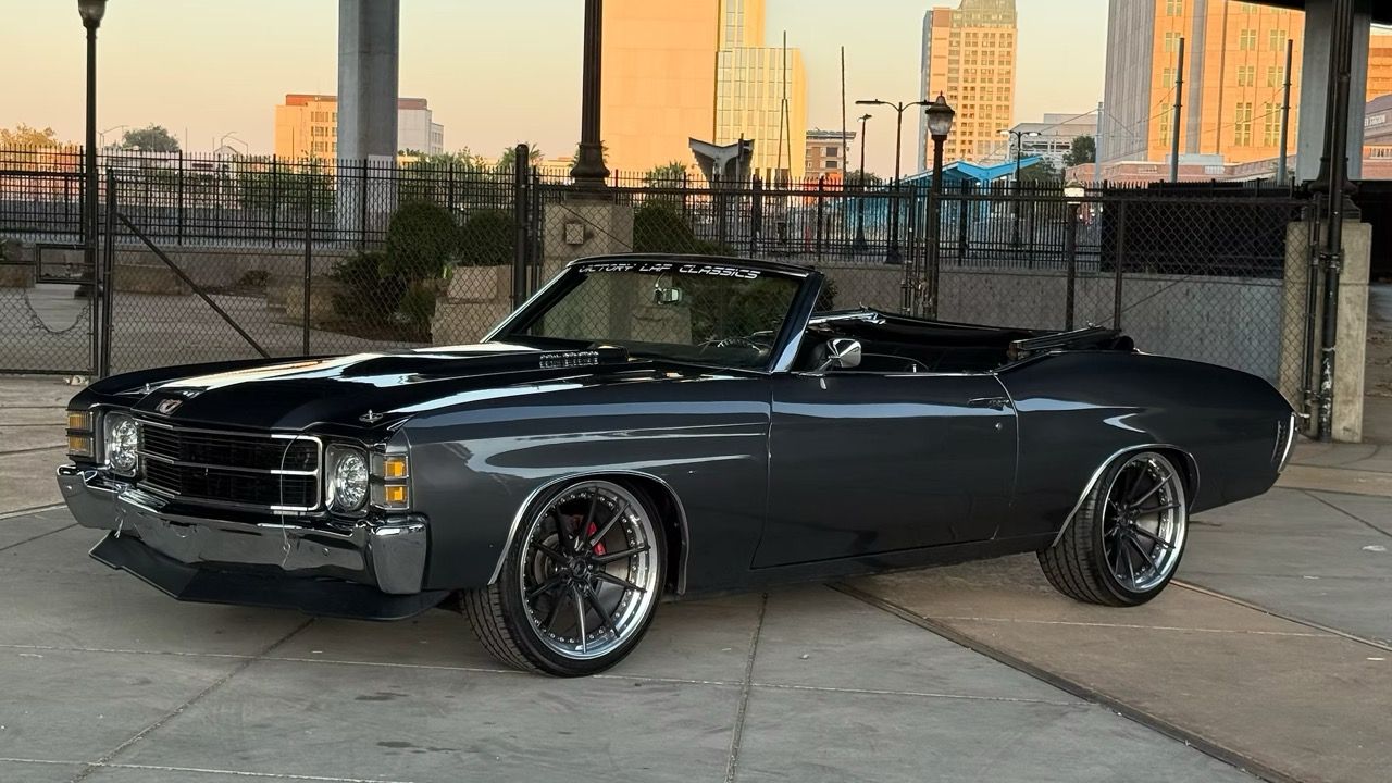 5f9cb2_fc6d962f57c6476f87271f829c0d94de~mv2 Large.jpeg