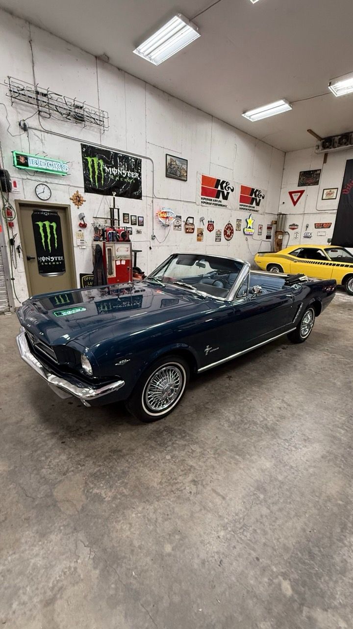 img_7211-scaled Large.jpeg