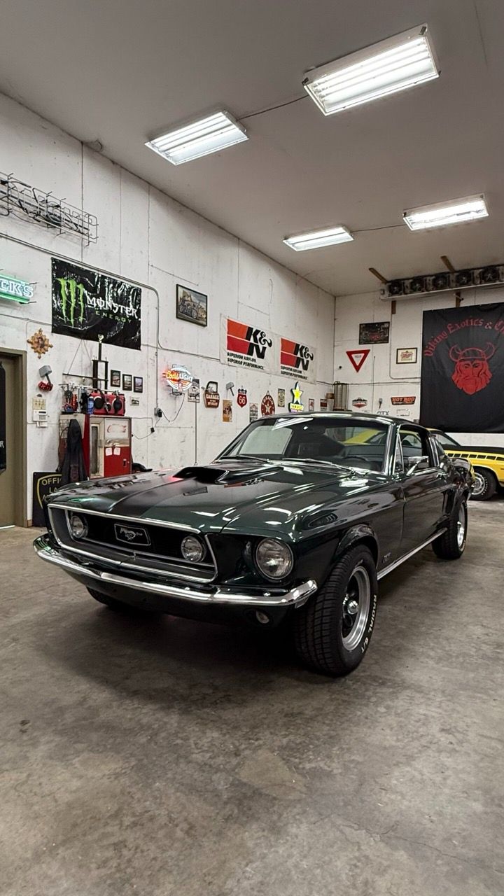 img_7362-scaled Large.jpeg