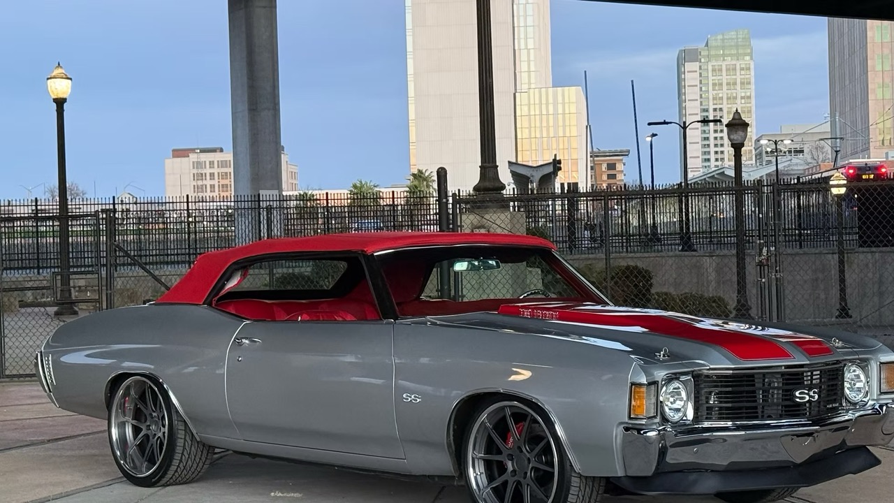 5f9cb2_81151b0d60114b6fb4342933c98c5d4a~mv2 Large.jpeg