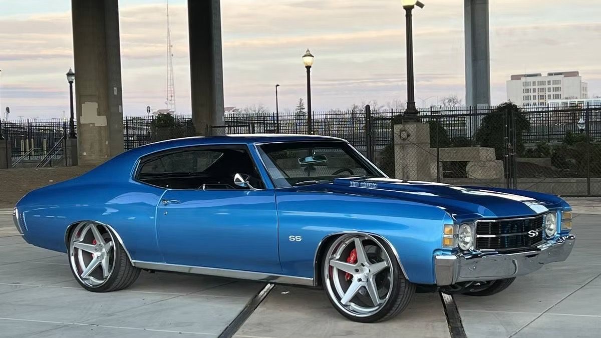 5f9cb2_c6aca7d9bce940439064935a1652779f~mv2 Large.jpeg