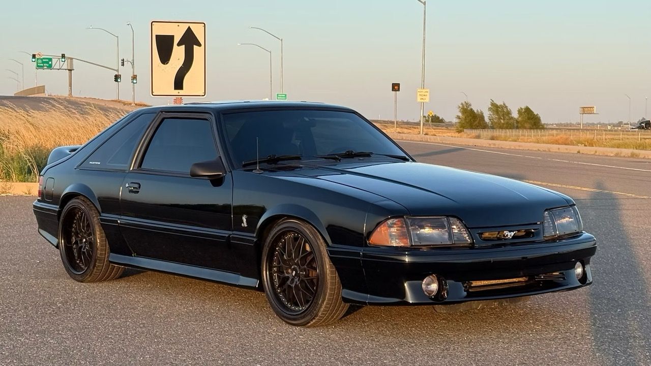 5f9cb2_9d40113c178a422fbce1c4f9aff1e9f0~mv2 Large.jpeg