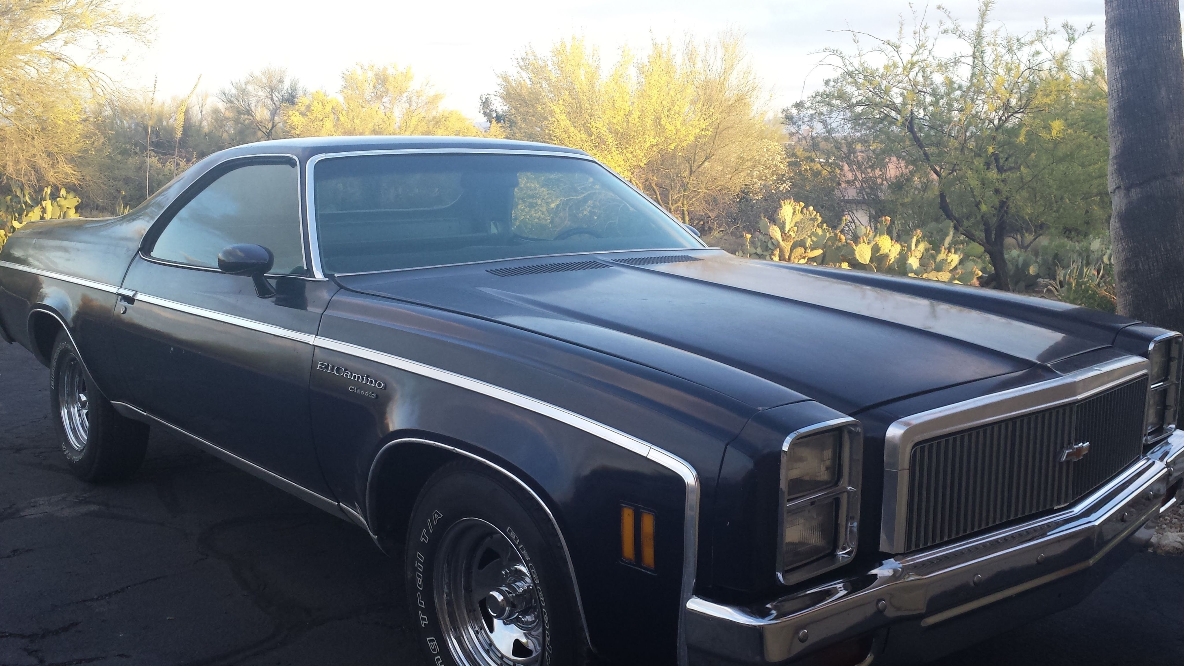 1977 Chevrolet El Camino : Big Blue