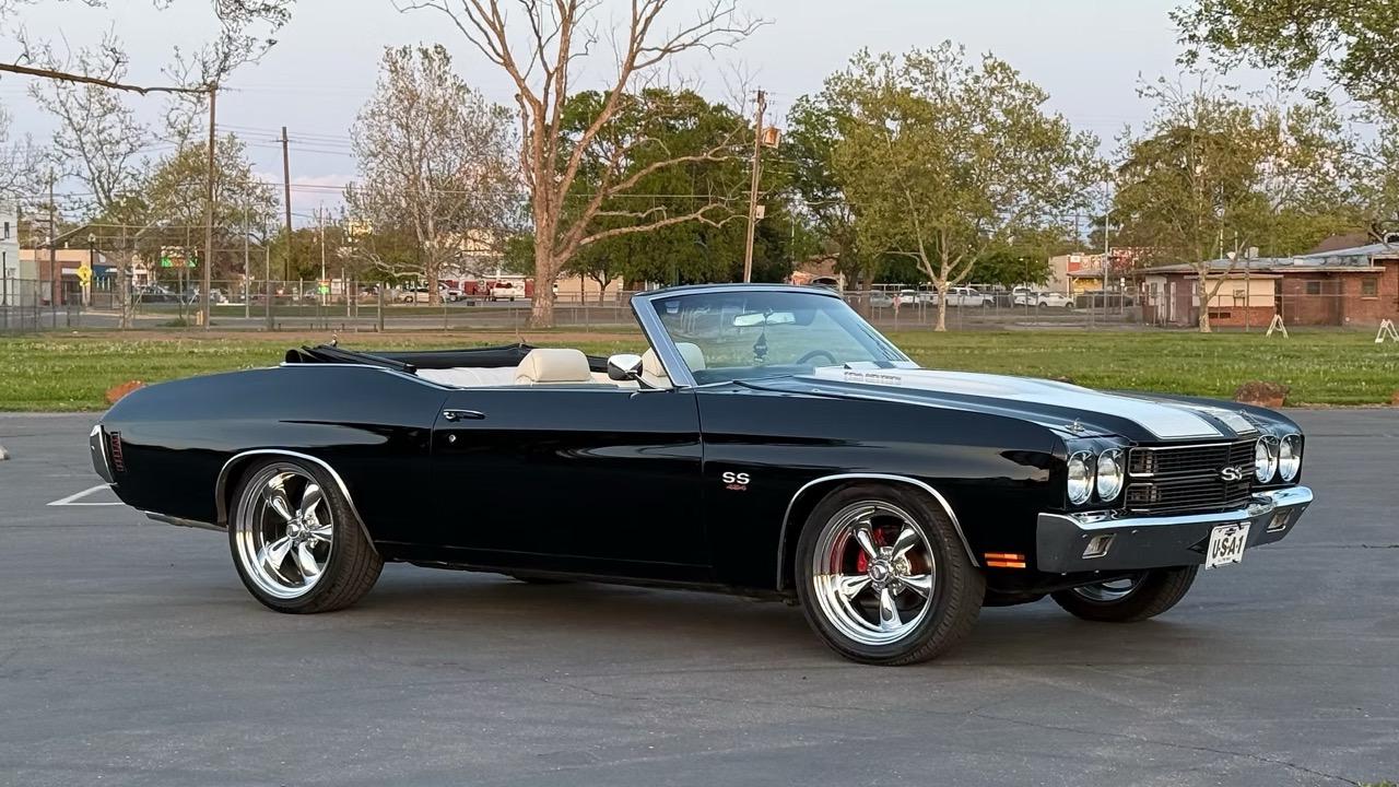 5f9cb2_afeec04fe1ba43c09828c84706c7029c~mv2 Large.jpeg